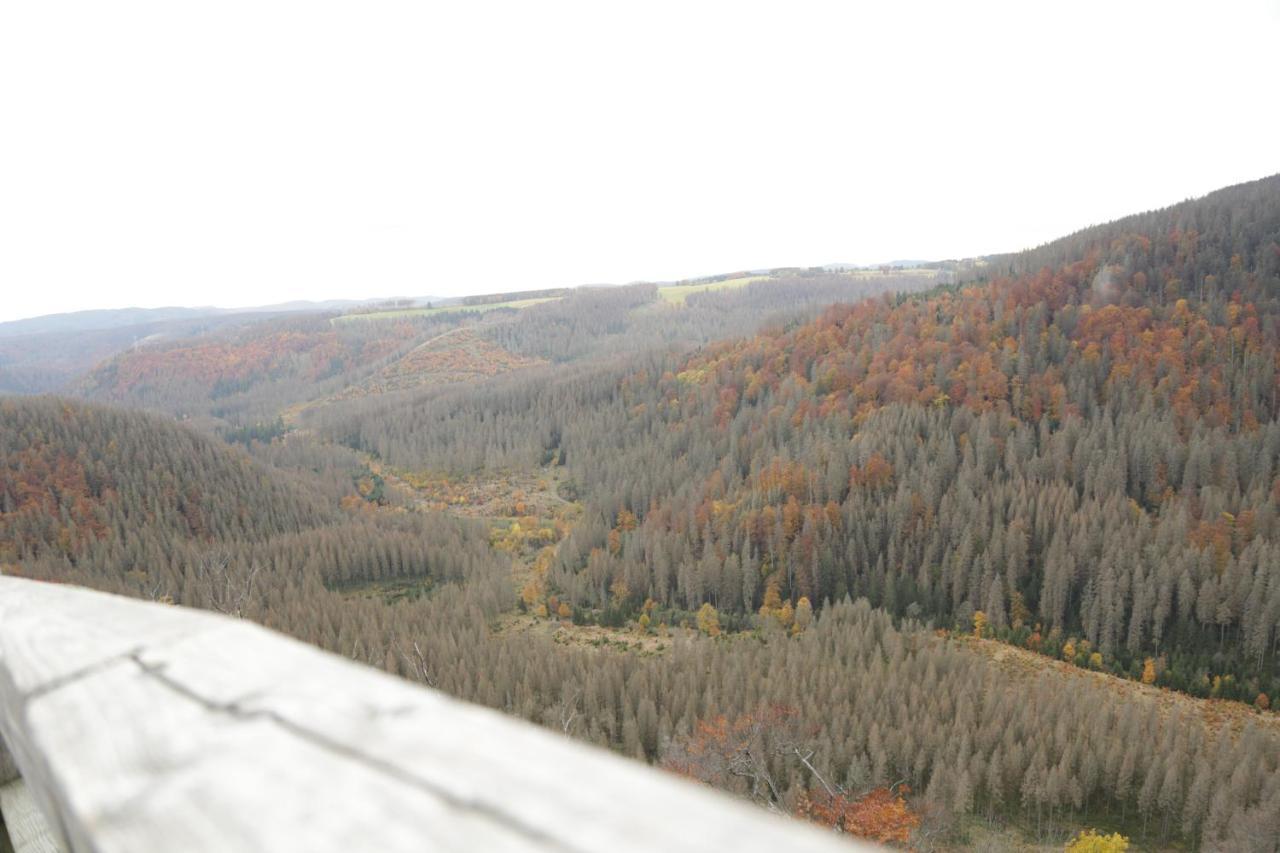 Guest house Haus Hohensee Clausthal-Zellerfeld